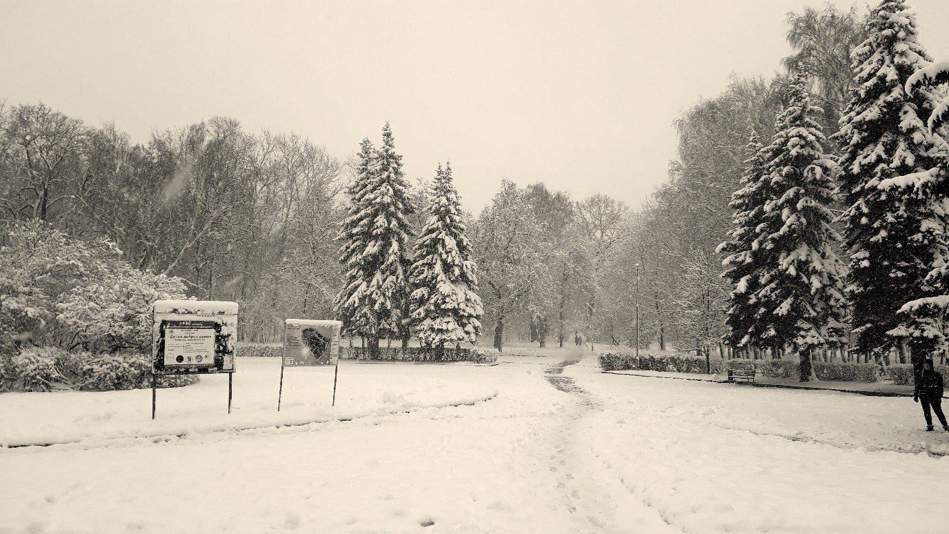 парк цпкио рязань