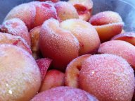 Февральские персики Февральские персики