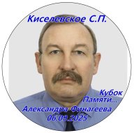 Кубок Памяти Александра Финагеева