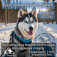 Быстринский спринт