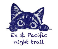 Ex & Pacific night trail