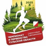 ЧиП Тульской области